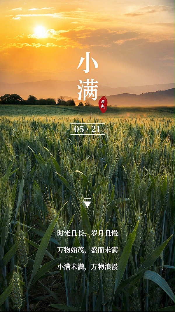 小满